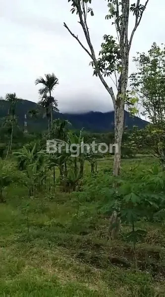 image DIJUAL TANAH KOSONG LOKASI STRATEGIS SELUAS KURANG LEBIH 1 HEKTAR DI DAERAH BANDAR BARU DELI SERDANG (4)