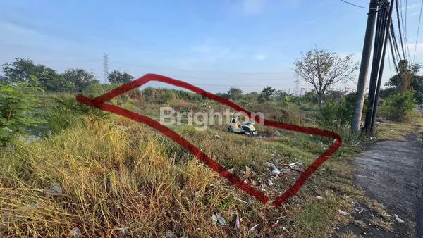 image TANAH PAKAL (1)