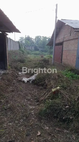 image GUDANG EKS-MEBEL, LAHAN LUAS 4.853M² DI MOJOKERTO (2)