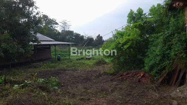 image GUDANG EKS-MEBEL, LAHAN LUAS 4.853M² DI MOJOKERTO (3)