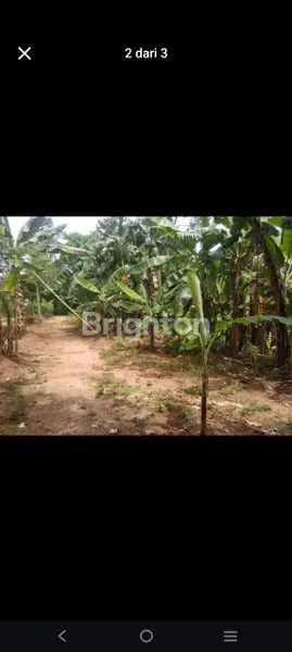 image DIJUAL CEPAT TANAH KOSONG (1)