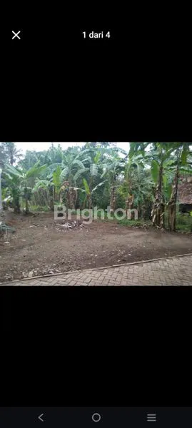 image DIJUAL CEPAT TANAH KOSONG (2)