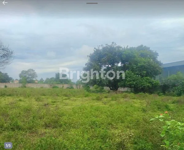 image TANAH DI DANGDANG CISAUK SERPONG TANGERANG, BANTEN (1)