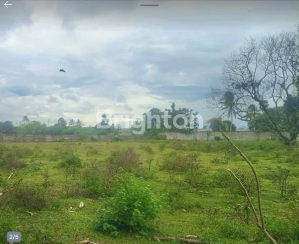 image TANAH DI DANGDANG CISAUK SERPONG TANGERANG, BANTEN (2)