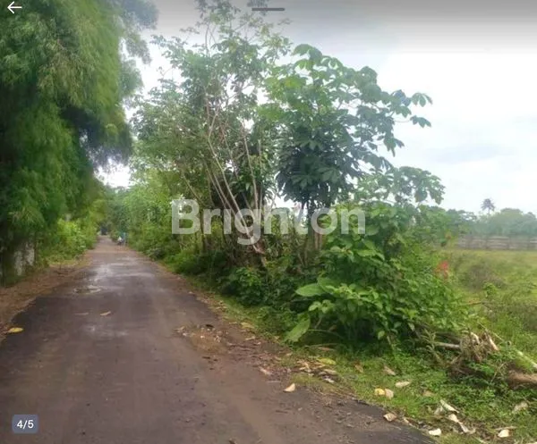 image TANAH DI DANGDANG CISAUK SERPONG TANGERANG, BANTEN (3)