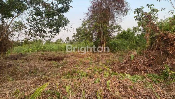 image DIJUAL TANAH (1)