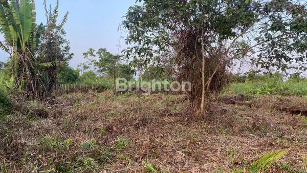 image DIJUAL TANAH (2)