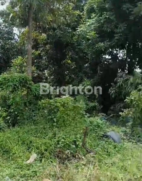 image TANAH DI KEMUNING RAYA JAKARTA BARAT (5)