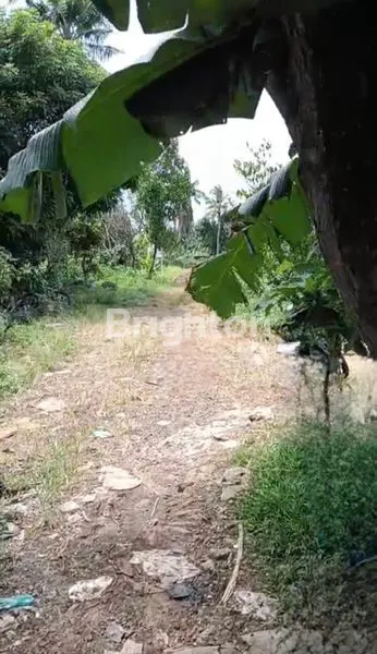 image TANAH DI KEMUNING RAYA JAKARTA BARAT (7)