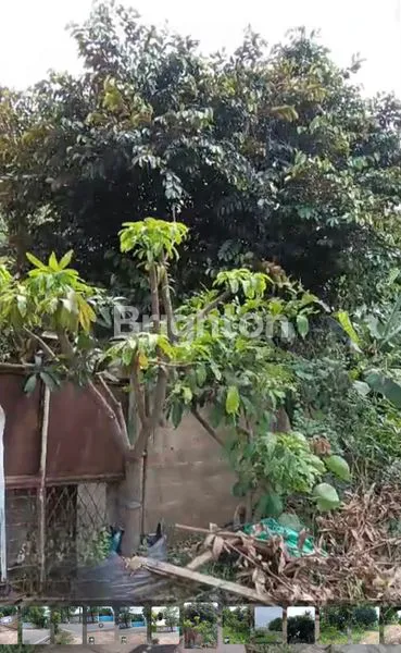 image TANAH DI KEMUNING RAYA JAKARTA BARAT (3)