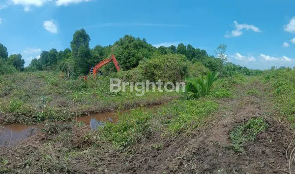 image DIJUAL TANAH LUAS & STRATEGIS DI DUMAI RIAU  (1)