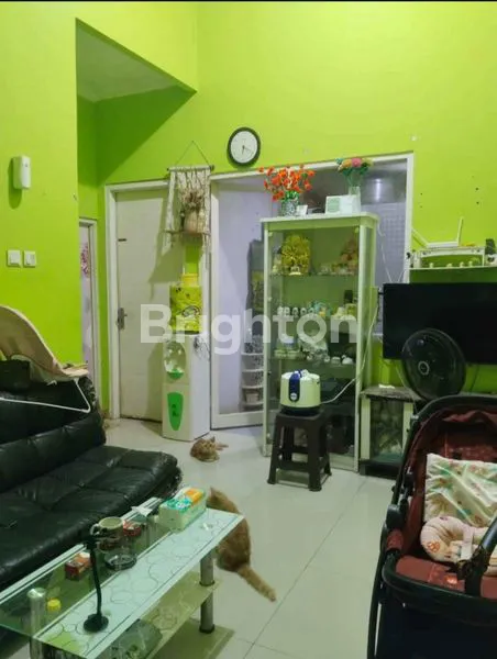 image RUMAH SEPINGGAN (3)