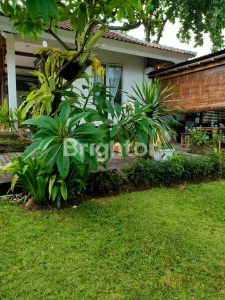 image VILLA LUXURY PREMIUM WITH GARDEN VIEW AND SWIMMING POOL SEMI FURNISHED IN BATUR SARI SANUR (6)