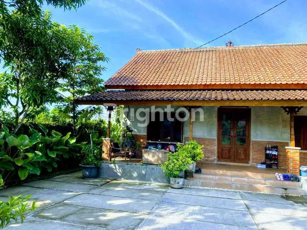 image RUMAH JOGLO ASRI DI BANTUL, TANAH LUAS 670 M² (2)