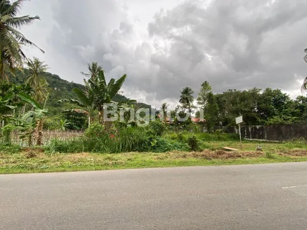 image TANAH DAERAH KOTA PADANG ZONA AMAN DAN BEBAS BANJIR (2)