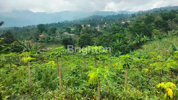 image TANAH KEBON PRODUKTIF DI BOGOR (1)