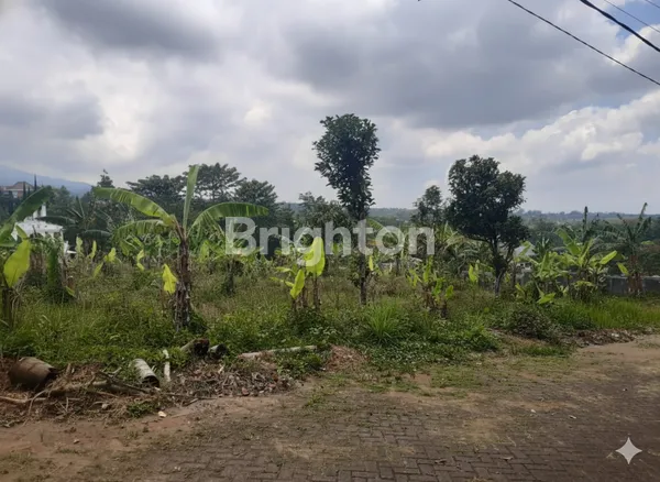 image TANAH AREA ARGO KIJANG  (2)