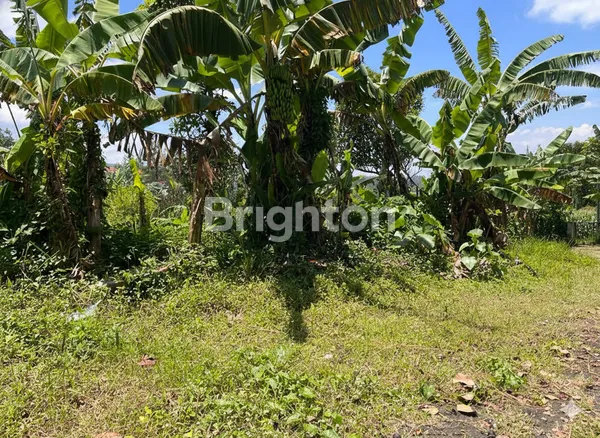 image TANAH AREA ARGO KIJANG  (1)