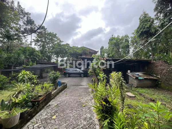 image DISEWAKAN – TANAH STRATEGIS DI KAYU PUTIH, BERAWA – CANGGU (7)