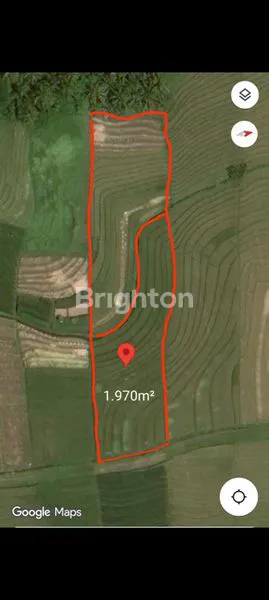 image TANAH SAWAH PRODUKTIF DI MAMBANG TABANAN (5)