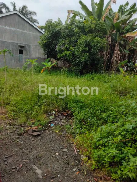 TANAH STRATEGIS DI BINJAI, DEKAT FASILITAS PUBLIK