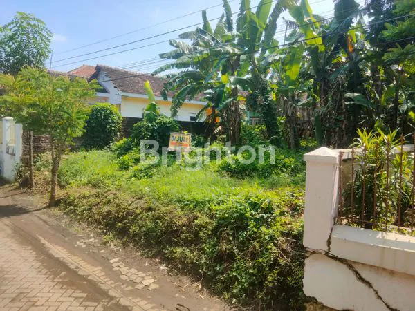 image TANAH DI JUAL (1)