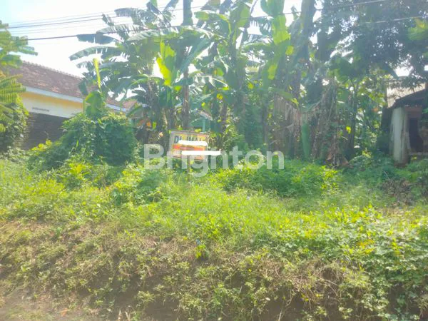 image TANAH DI JUAL (2)