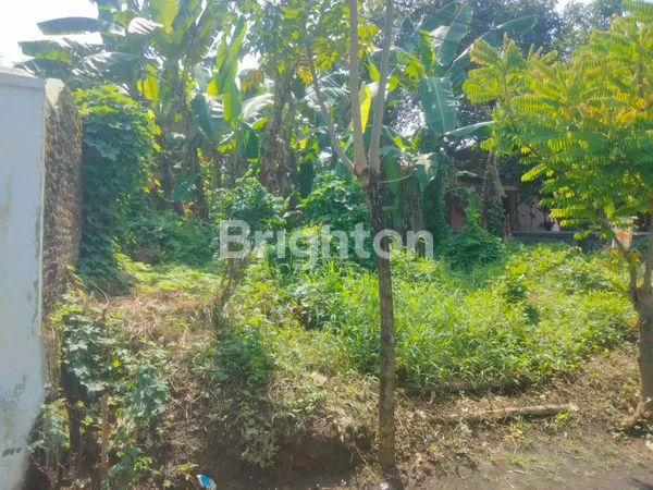 image TANAH DI JUAL (3)