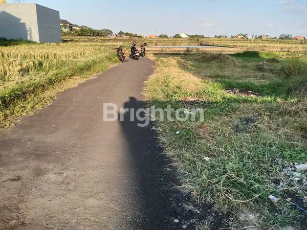 image TANAH KAVLING LUAS 4 ARE (7)