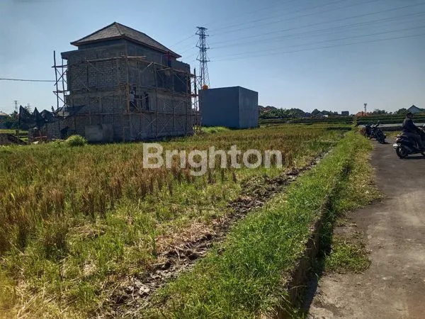 image TANAH KAVLING LUAS 4 ARE (2)