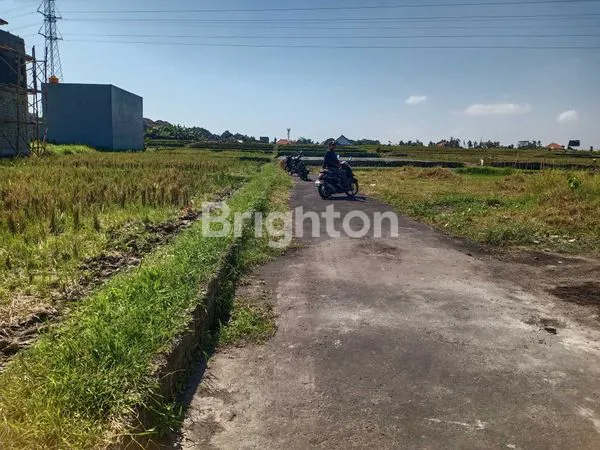 image TANAH KAVLING LUAS 4 ARE (3)