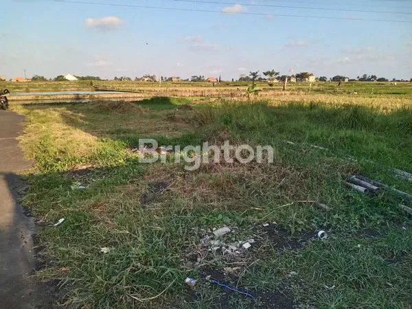 image TANAH KAVLING LUAS 4 ARE (6)