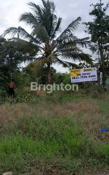 image TANAH KOMERSIL LUAS 1066M² DI ANDANSARI.MARELAN, MEDAN, SHM SIAP BANGUN (3)