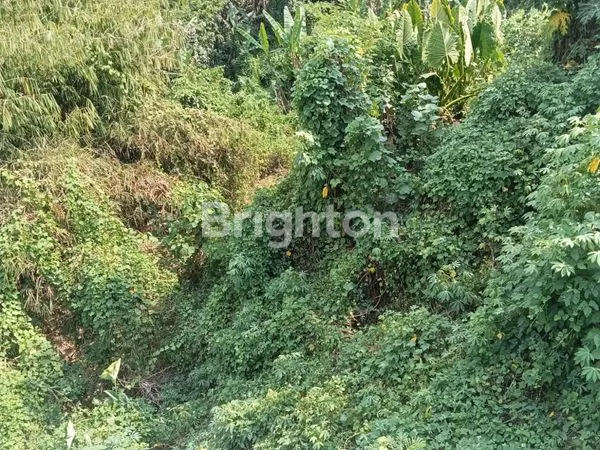 image DIJUAL TANAH DI KAWASAN BERKEMBANG BALI (1)