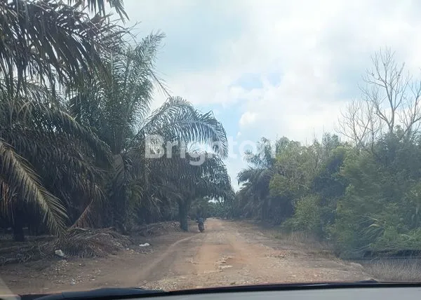 image TANAH DI JUAL (1)