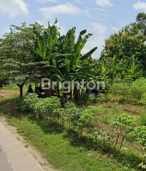 image TANAH DI JLN. R. A. BASYID, KARANG SARI, JATI AGUNG, LAMPUNG SELATAN, LAMPUNG (2)