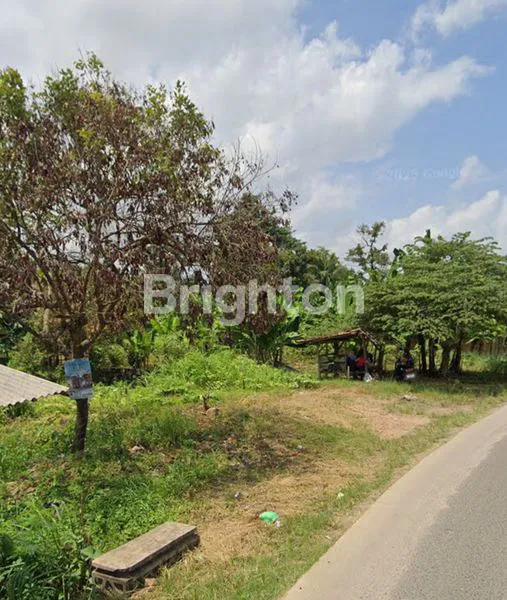 image TANAH DI JLN. R. A. BASYID, KARANG SARI, JATI AGUNG, LAMPUNG SELATAN, LAMPUNG (4)