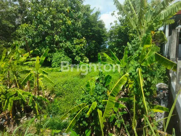 image INVESTASI TANAH PREMIUM DI KORIDOR SOLO-JOGJA DEKAT DENGAN GERBANG TOL  (3)