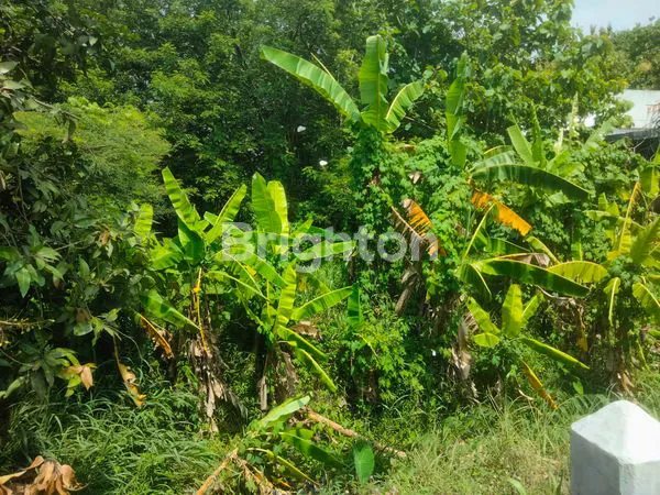 image INVESTASI TANAH PREMIUM DI KORIDOR SOLO-JOGJA DEKAT DENGAN GERBANG TOL  (6)