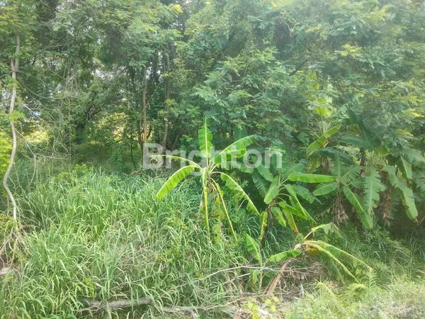 image INVESTASI TANAH PREMIUM DI KORIDOR SOLO-JOGJA DEKAT DENGAN GERBANG TOL  (7)