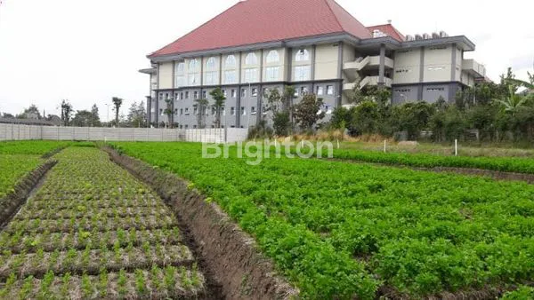 image LAHAN PREMIUM 2.505 M², LOKASI EKSKLUSIF BATU KOTA MALANG (1)