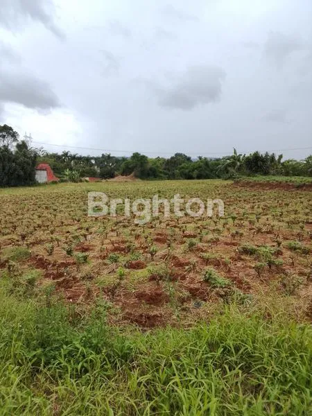image LAHAN BOJONGSARI PINTU TOL BOJONG KEMANG ( BOMANG) (3)