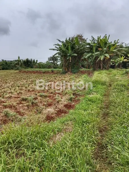 image LAHAN BOJONGSARI PINTU TOL BOJONG KEMANG ( BOMANG) (5)