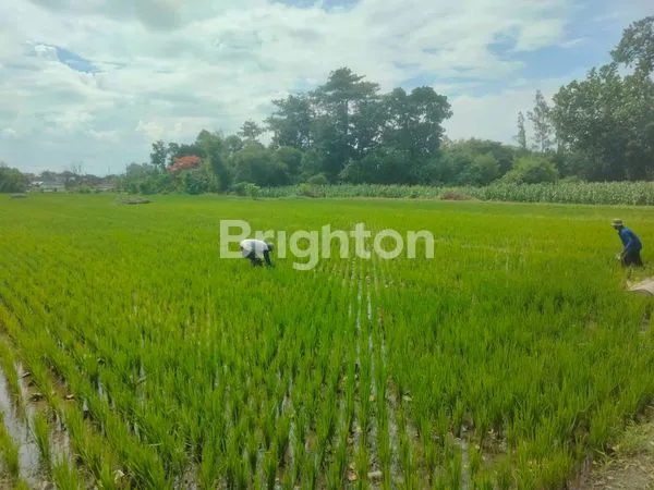 image TANAH IKONIK DUA MUKA JALAN DI KORIDOR UTAMA SOLO–JOGJA\N\NLUAS ±10.550 M² | DUAL ACCESS | JALAN NASIONAL & JALAN DESA (8)