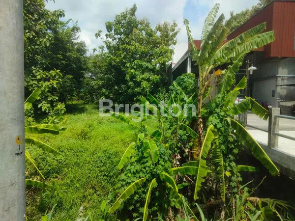 image TANAH IKONIK DUA MUKA JALAN DI KORIDOR UTAMA SOLO–JOGJA\N\NLUAS ±10.550 M² | DUAL ACCESS | JALAN NASIONAL & JALAN DESA (4)