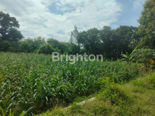 image TANAH IKONIK DUA MUKA JALAN DI KORIDOR UTAMA SOLO–JOGJA\N\NLUAS ±10.550 M² | DUAL ACCESS | JALAN NASIONAL & JALAN DESA (7)