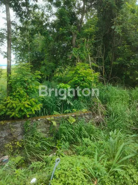 image TANAH IKONIK DUA MUKA JALAN DI KORIDOR UTAMA SOLO–JOGJA\N\NLUAS ±10.550 M² | DUAL ACCESS | JALAN NASIONAL & JALAN DESA (5)