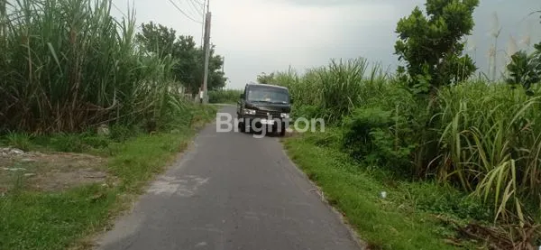 image TANAH SAWAH DI NGASEM KEDIRI (2)