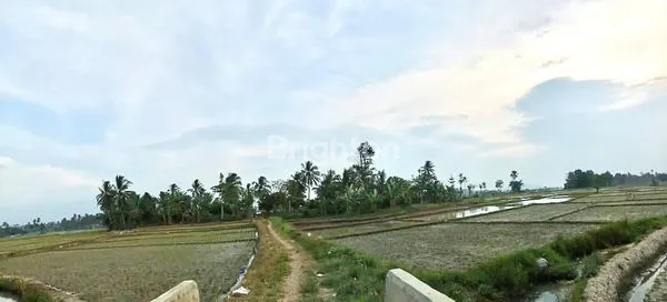 image TANAH LUAS 19.935 M² DI GEDONG TATAAN, HANYA RP 100RB/M² (1)