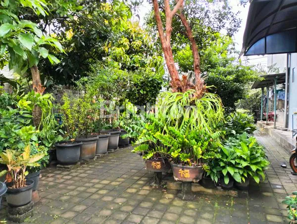 image RUMAH 2 LANTAI + TANAH 5,68 ARE DI PINGGIR JALAN KEBO IWA DENPASAR (7)